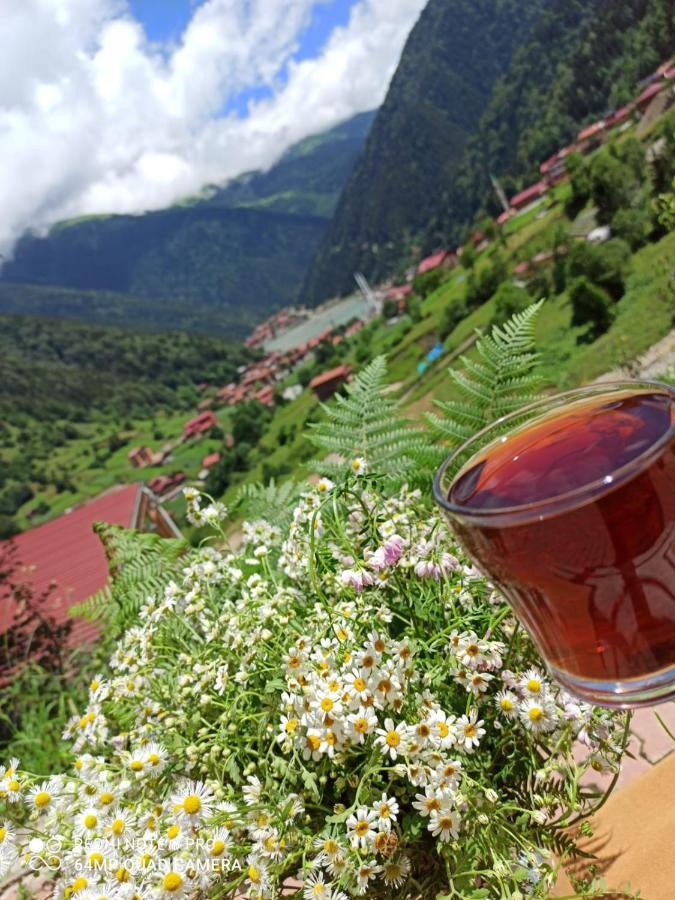 Er-Konak Suit Apart Uzungöl Esterno foto