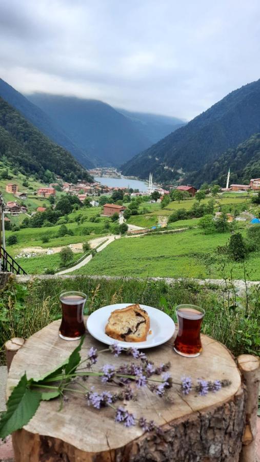 Er-Konak Suit Apart Uzungöl Esterno foto